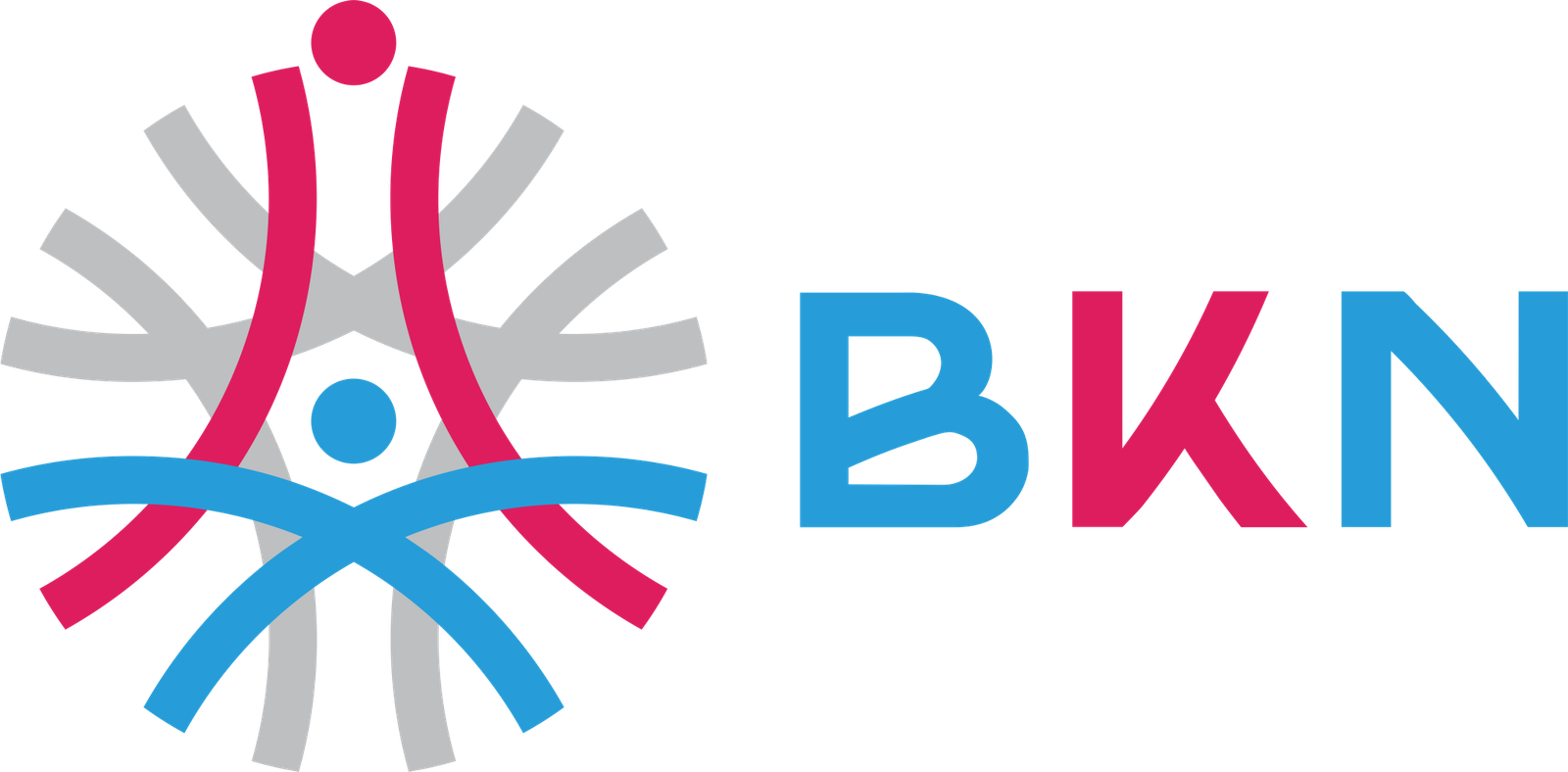 logo-bkn.png